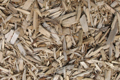 biomass boilers Trecott