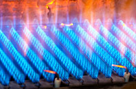 Trecott gas fired boilers