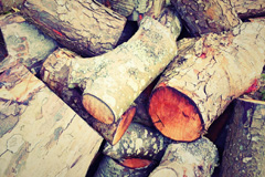 Trecott wood burning boiler costs